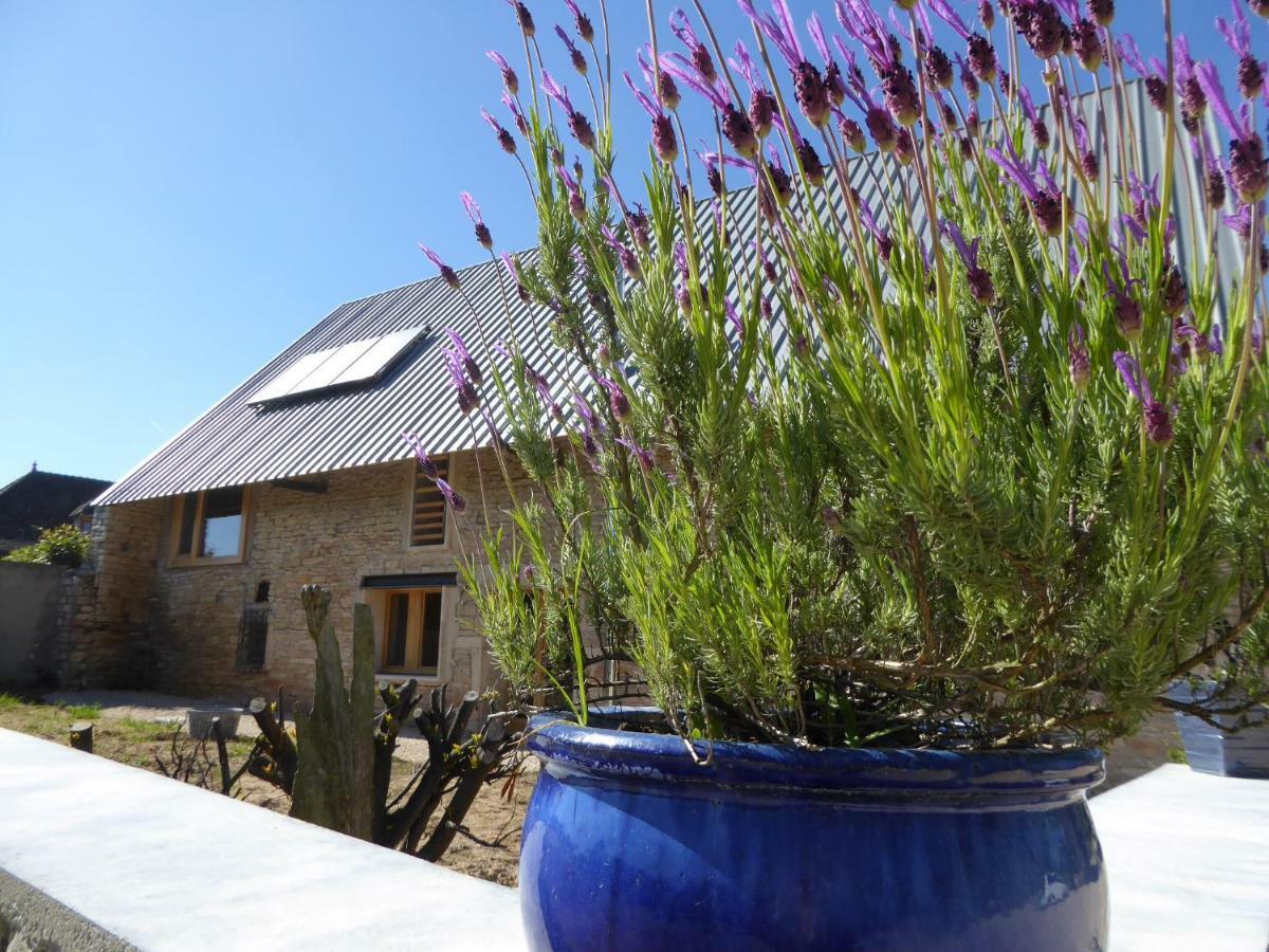 Element Terre Bed & Breakfast Baudrieres Exterior photo